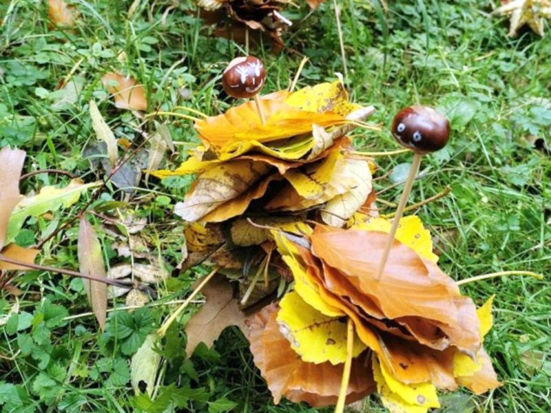 Projekt „Waldtage“ mit den 11. Klassen der Kinderpflege